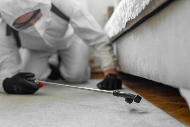 Professional Bed Bug Control technician working in Port Jefferson, NY